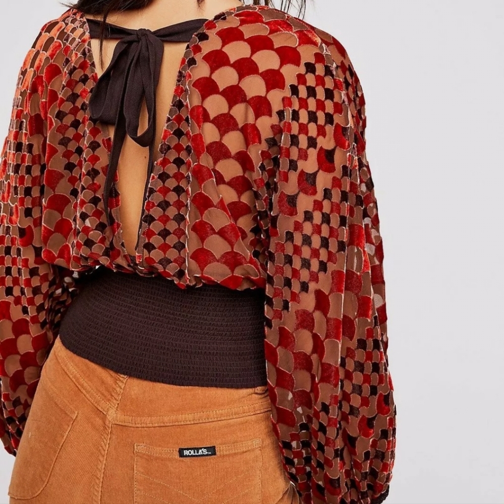 Free People It's Your World Sheer Velvet Retro Blouse - Picture 2 of 2